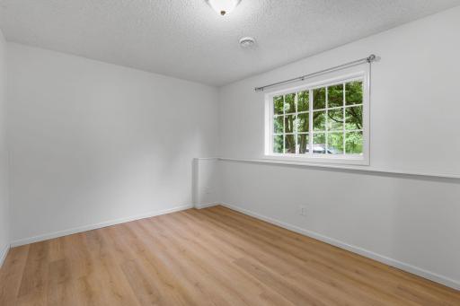Lower level 4th bedroom