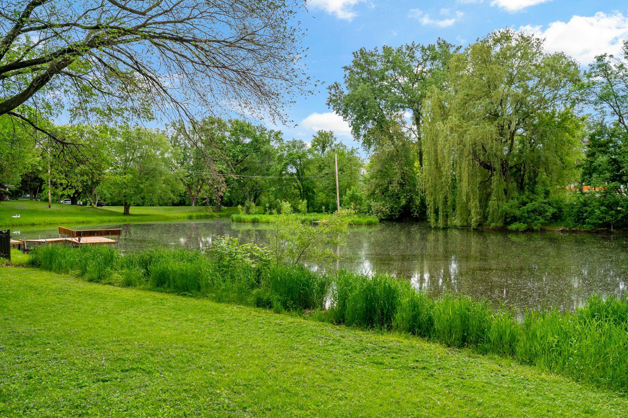9-web-or-mls-5801 Interlachen Blvd Minneapolis MN_0010.jpg