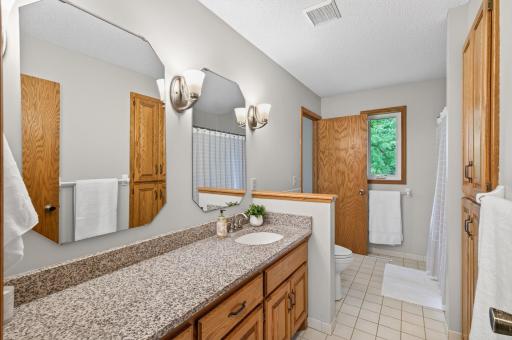 18604 Flamingo Street NW, Cedar, MN 55011