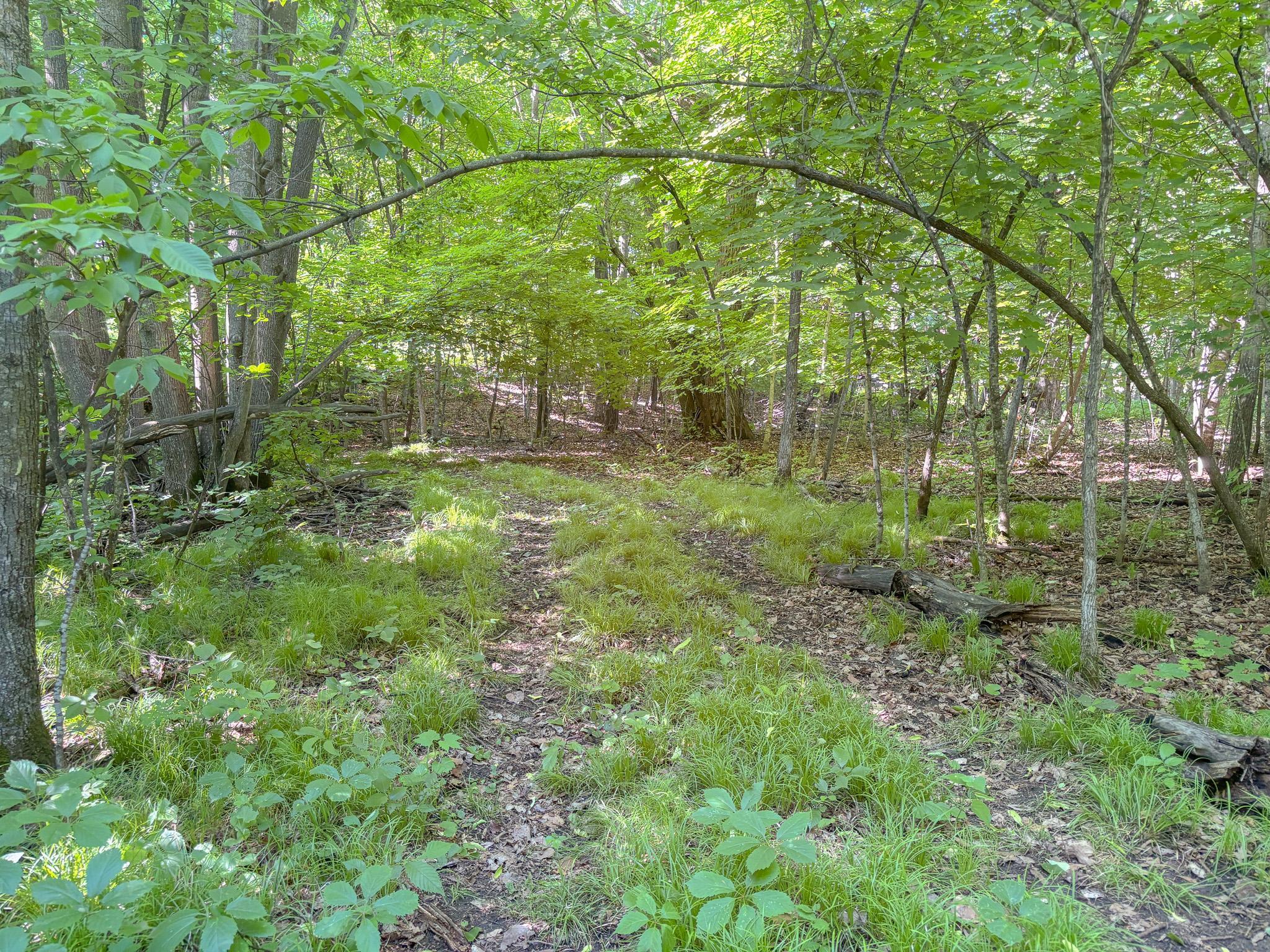 Land