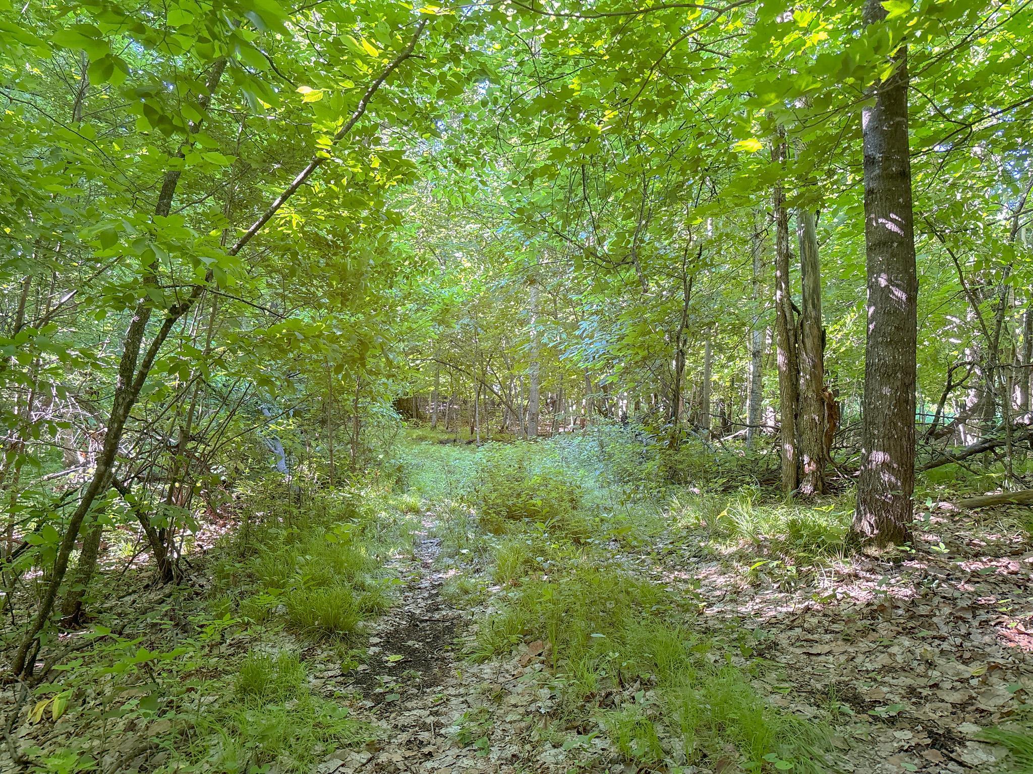 Land