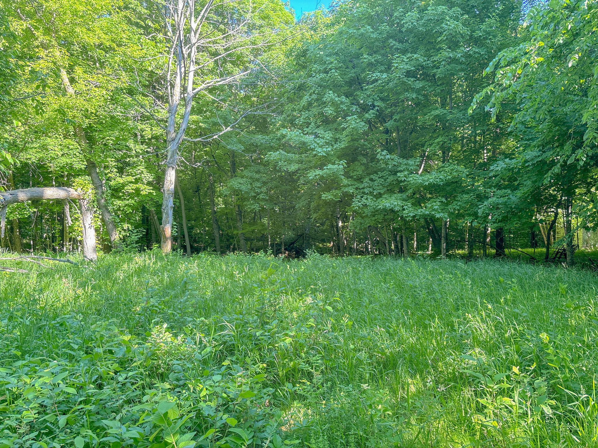 Land
