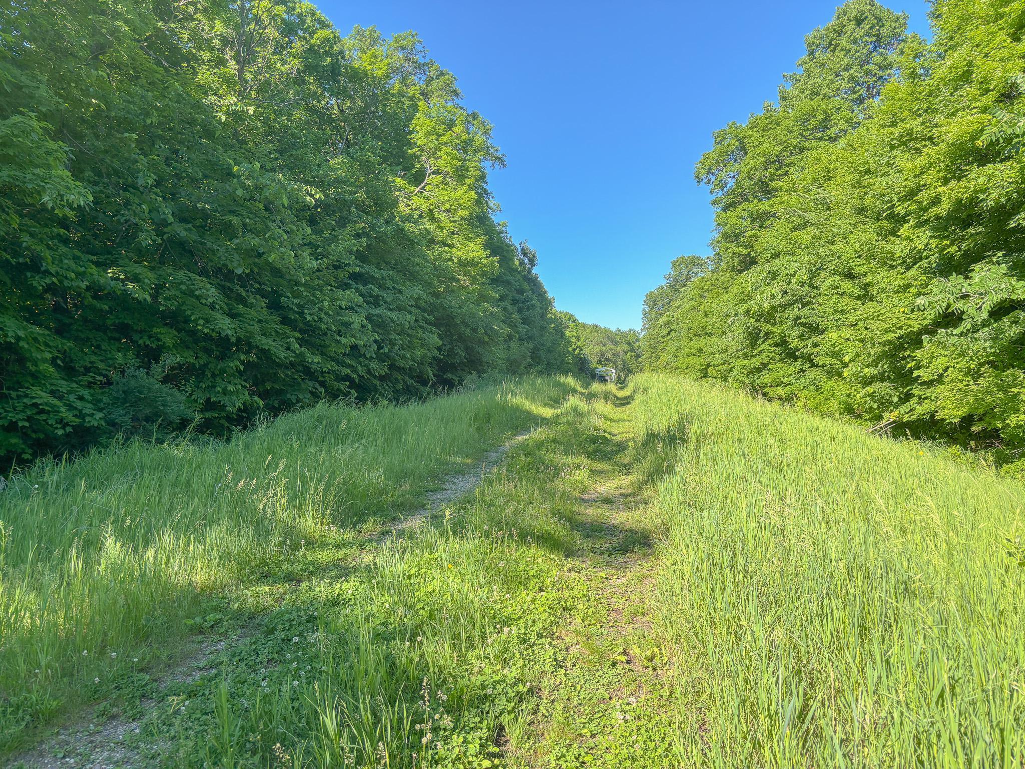 Access Road