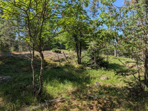 Upper level of lot