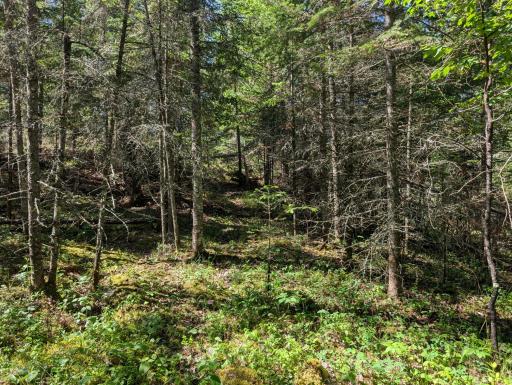 Path to upper level of lot