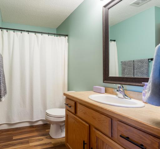 345 Paquin Drive, Somerset, WI 54025