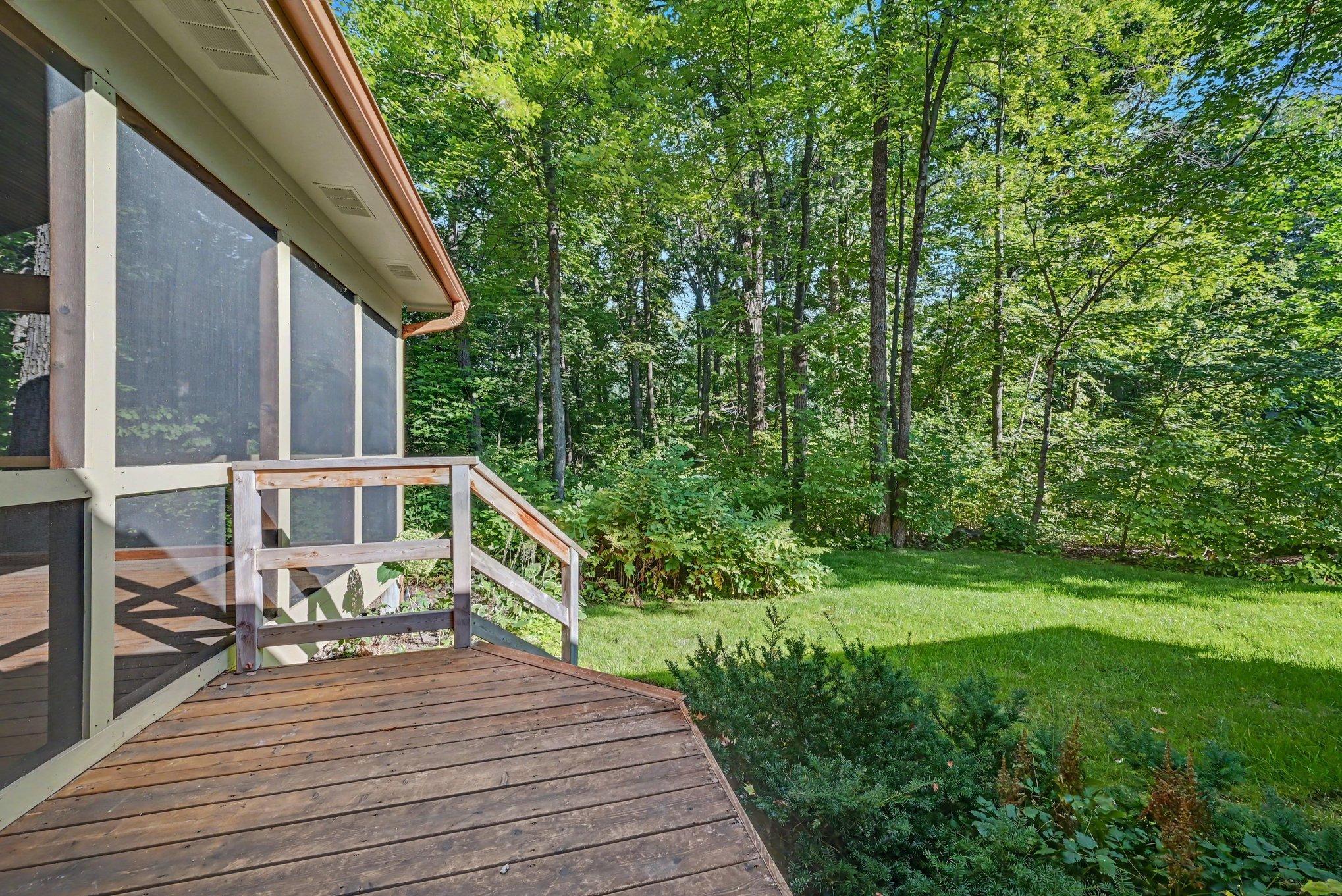 Mature trees and privacy