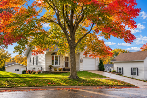 208 High Avenue, Wanamingo, MN 55983