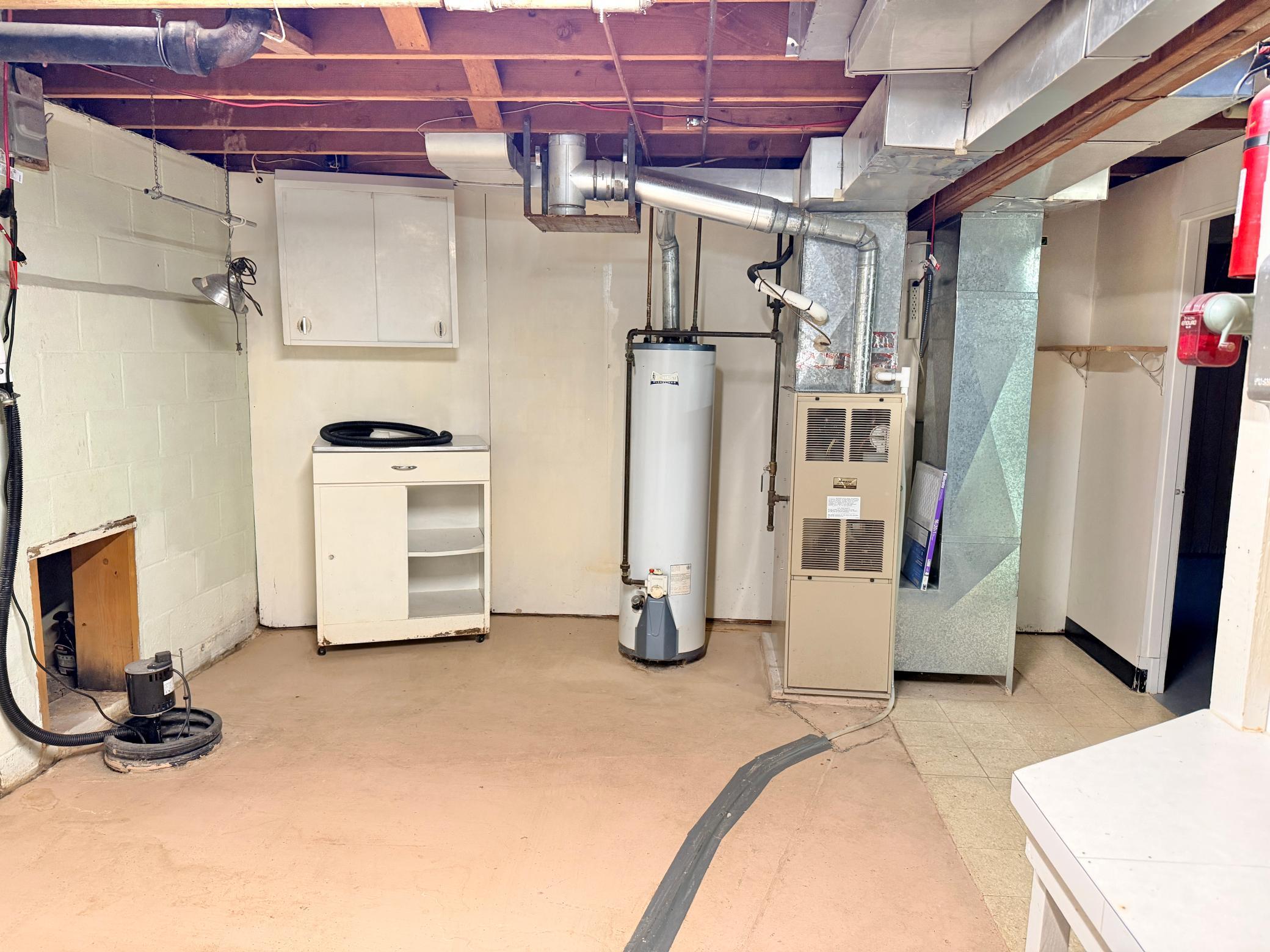 Water heater and furnace