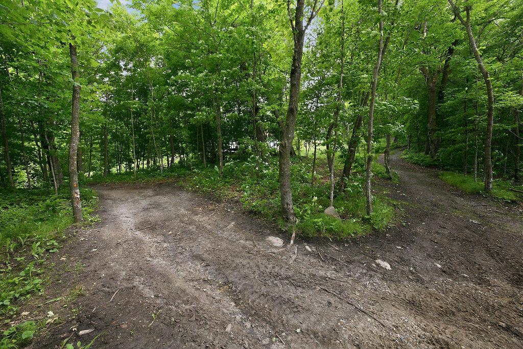 Path to lake