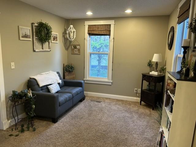 TV room - main floor