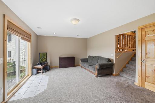 Lower Level - Living Room