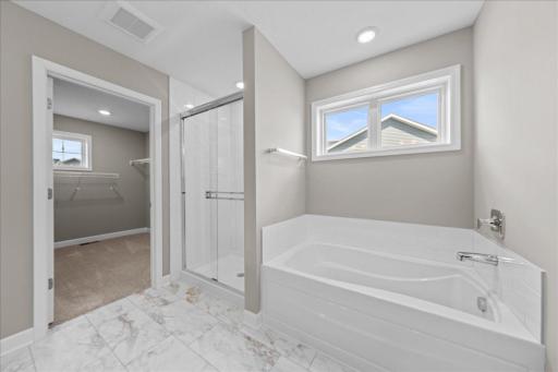 819 Spancil Hill View, Saint Paul, MN 55129