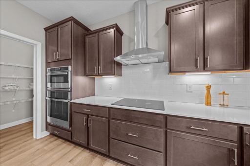819 Spancil Hill View, Saint Paul, MN 55129