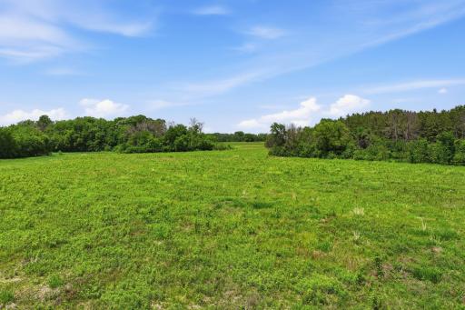 880 Wild Oak Trail, Independence, MN 55359