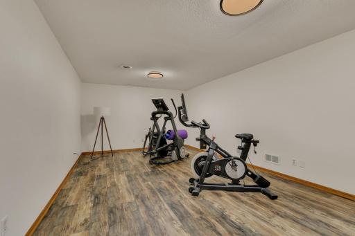 Updated light fixtures in this lower level bonus room as well.