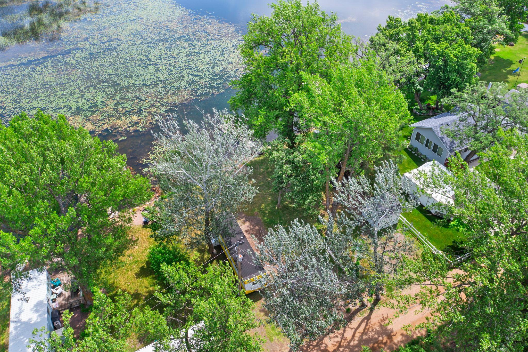 Bird-eye View...look for the Eagle