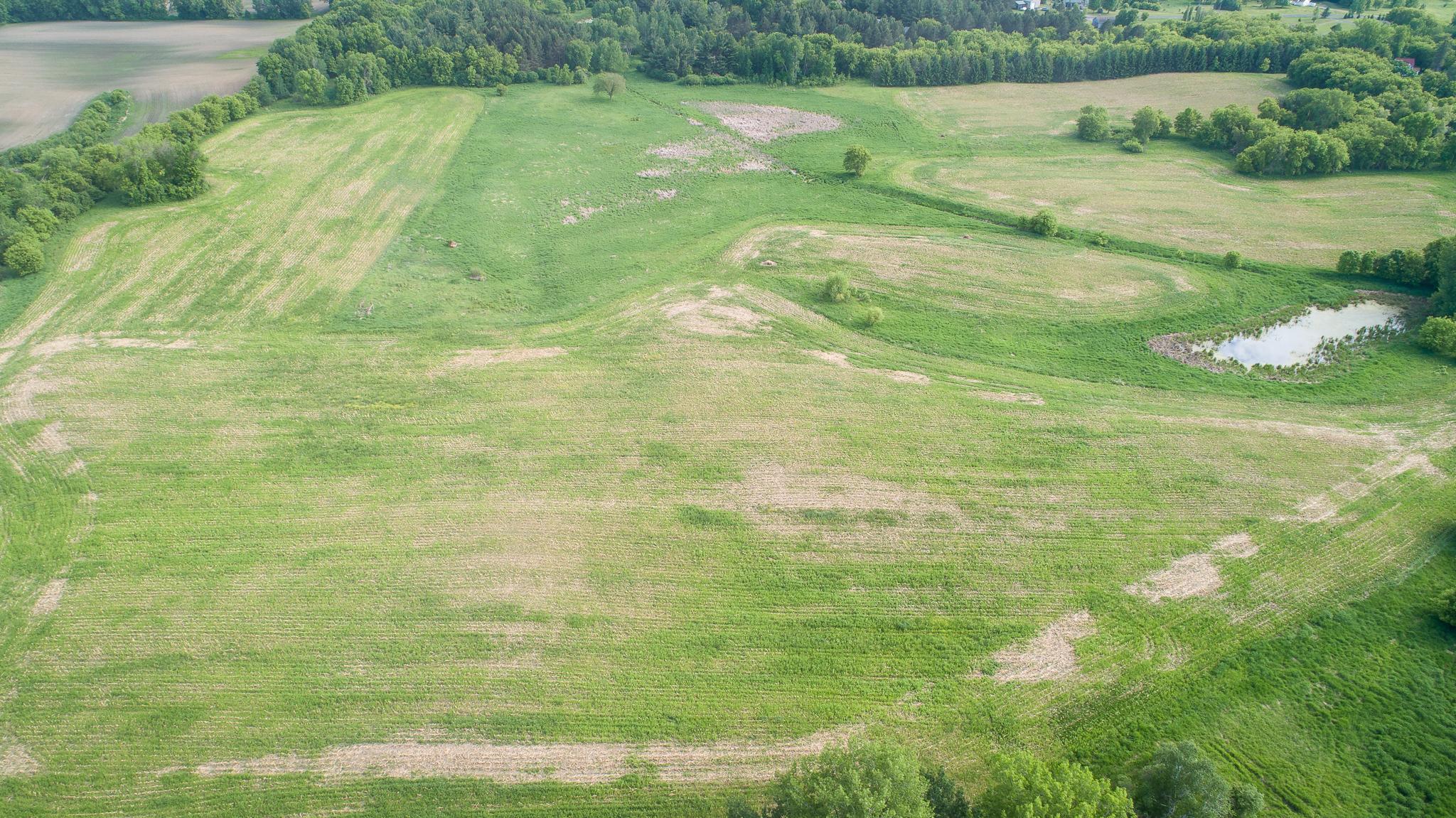 DJI_0114.jpg