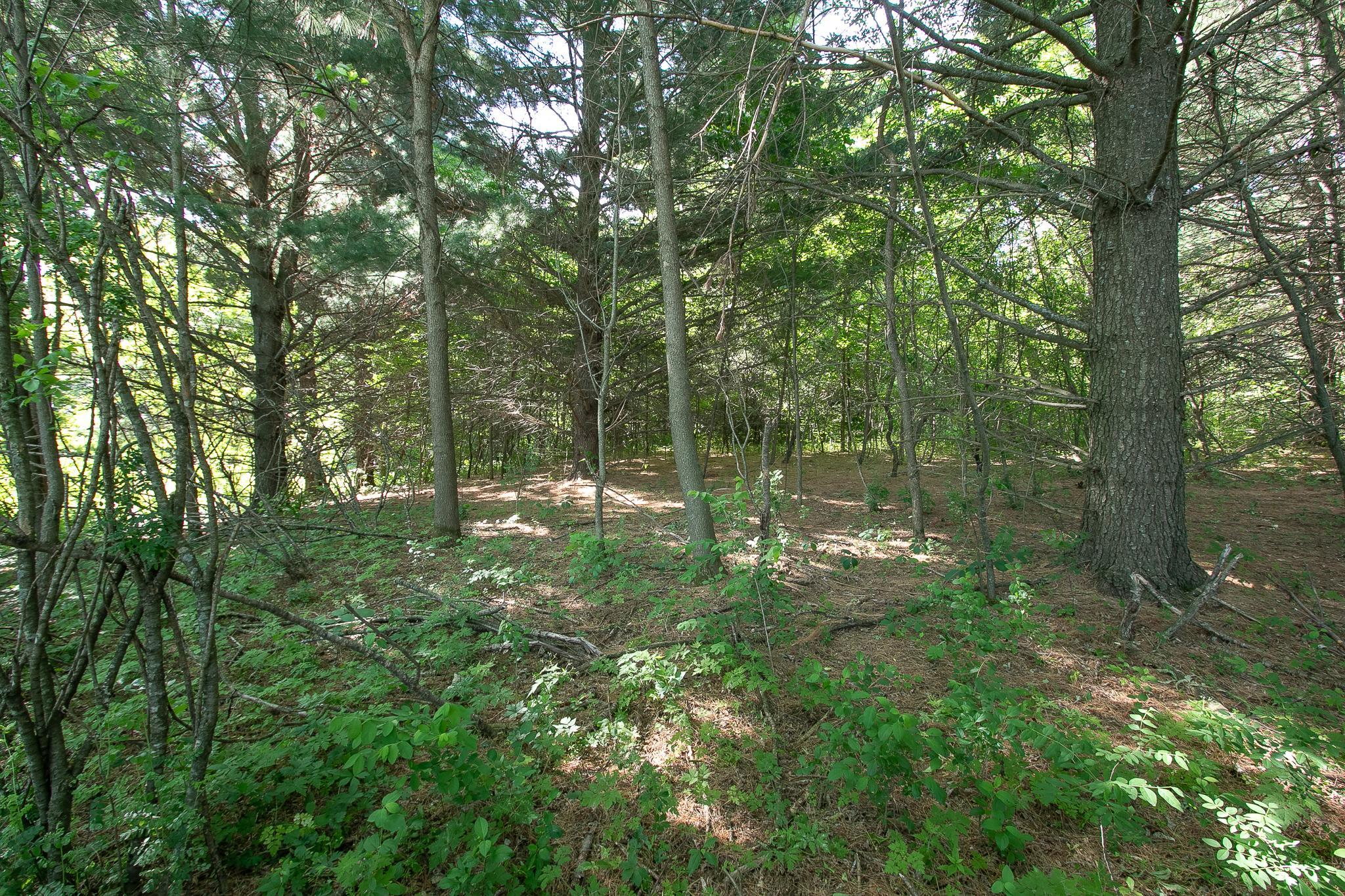 Great mix of wooded as well.