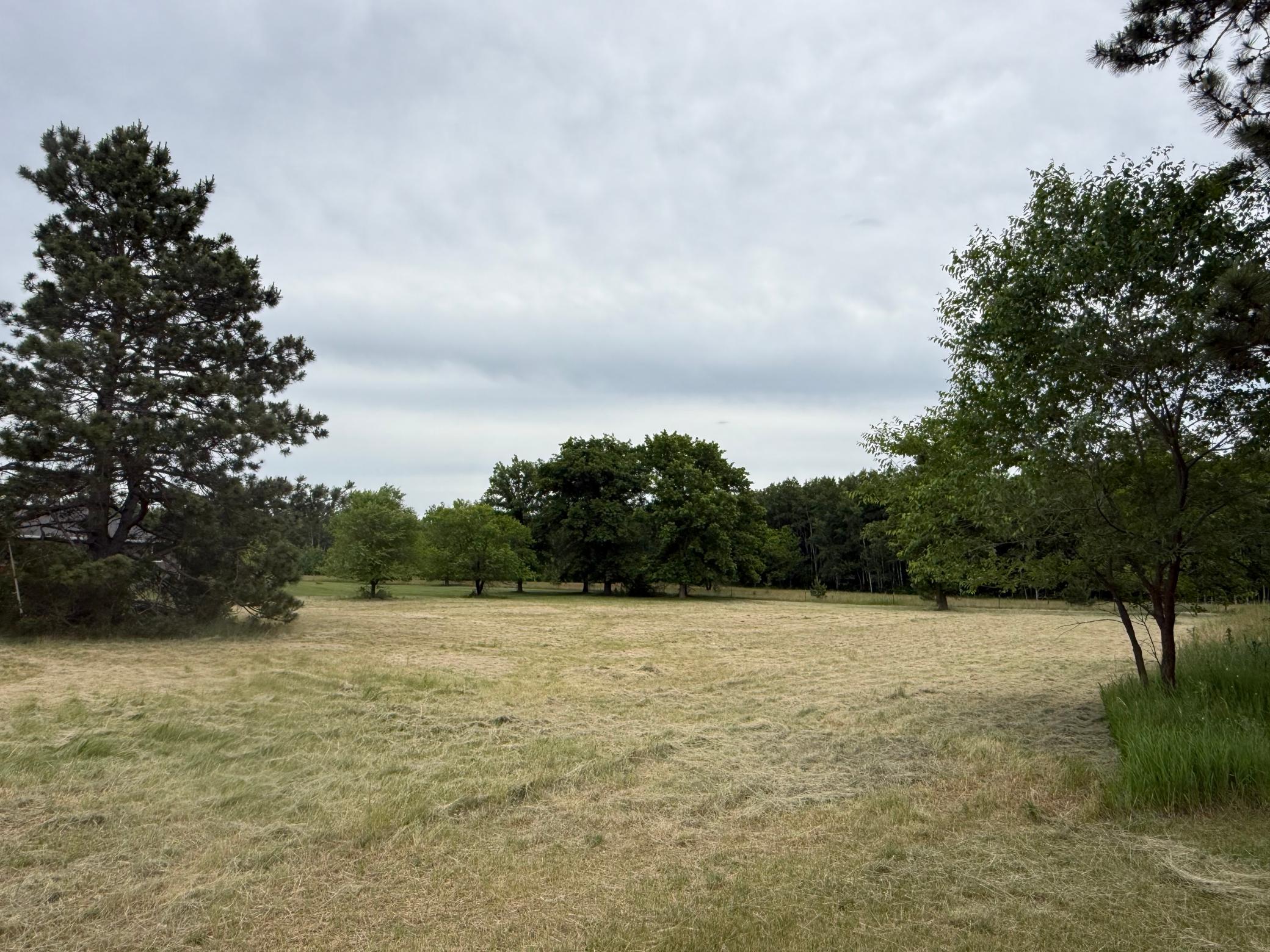Great level lot.