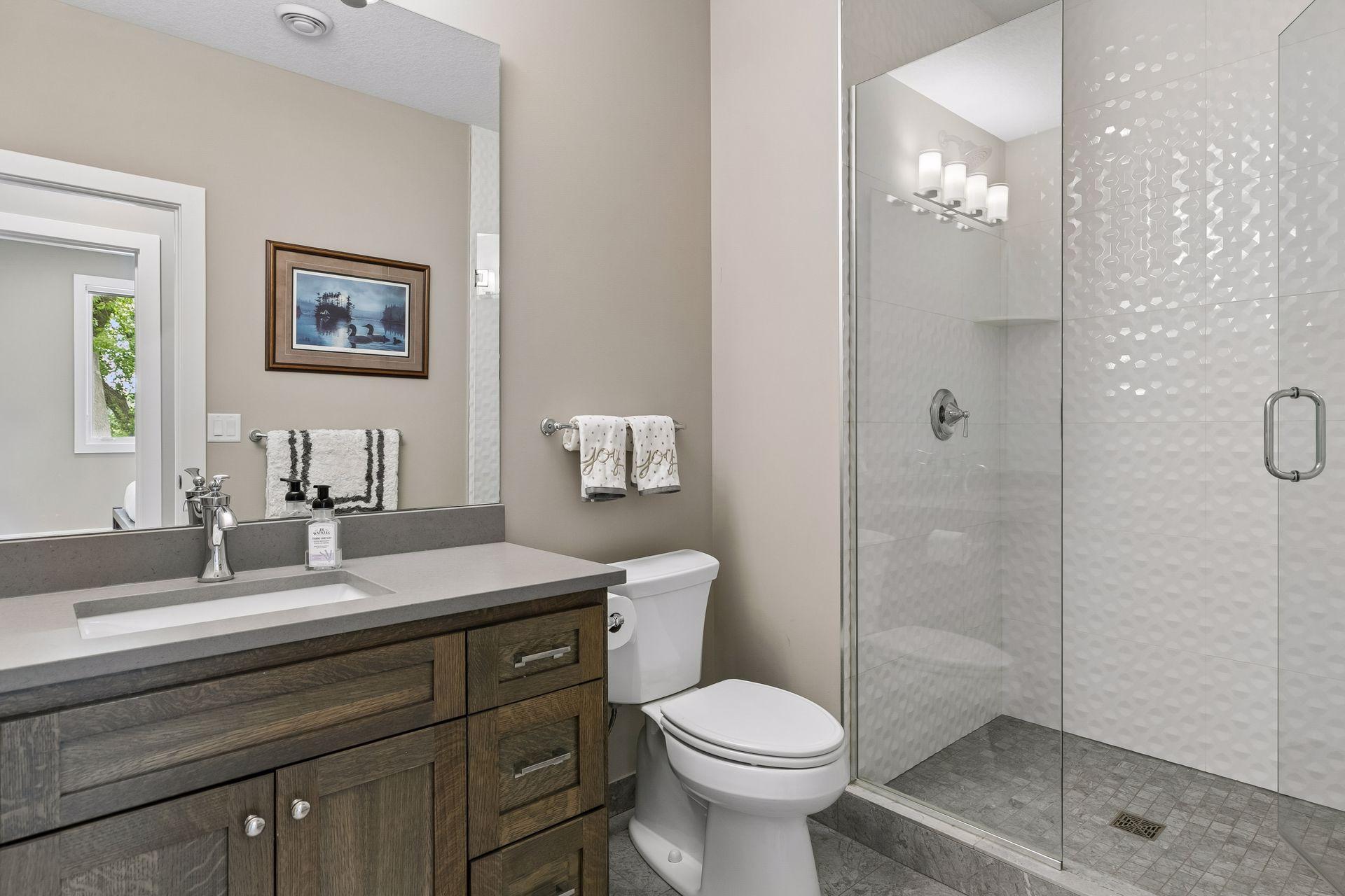Second lower level bathroom