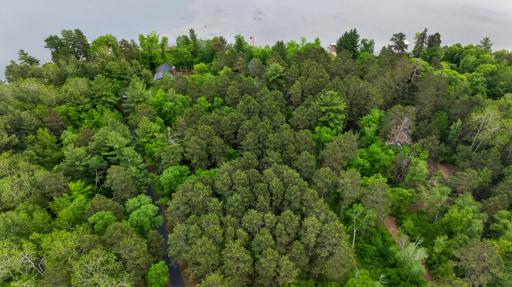 22984 County 7, Park Rapids, MN 56470