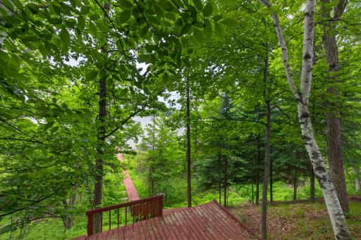 22984 County 7, Park Rapids, MN 56470
