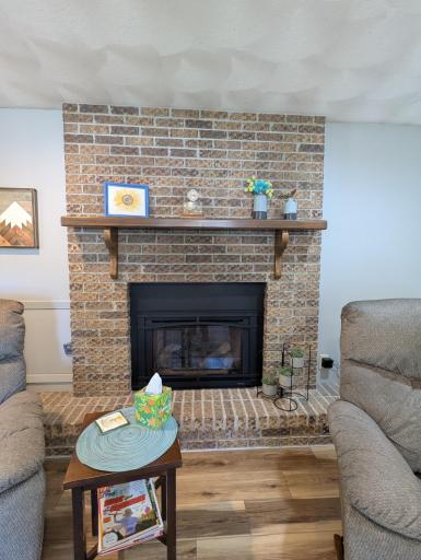 1111 Skylark Lane, Albert Lea, MN 56007