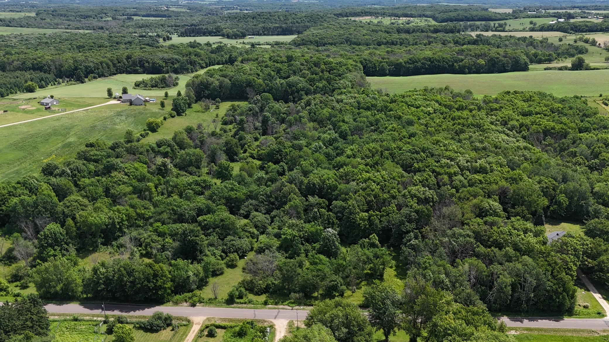 DJI_20260615115603_0465_D.JPG