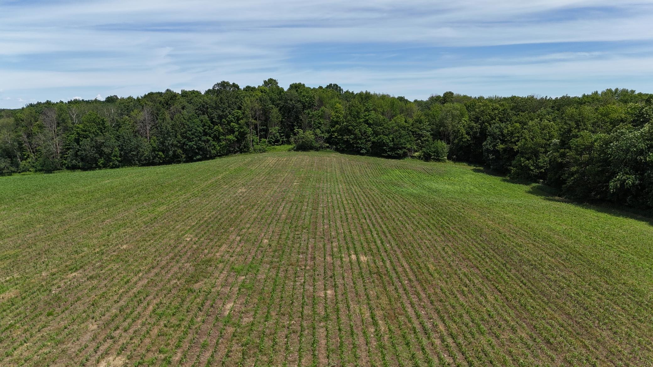 DJI_20260615121242_0505_D.JPG