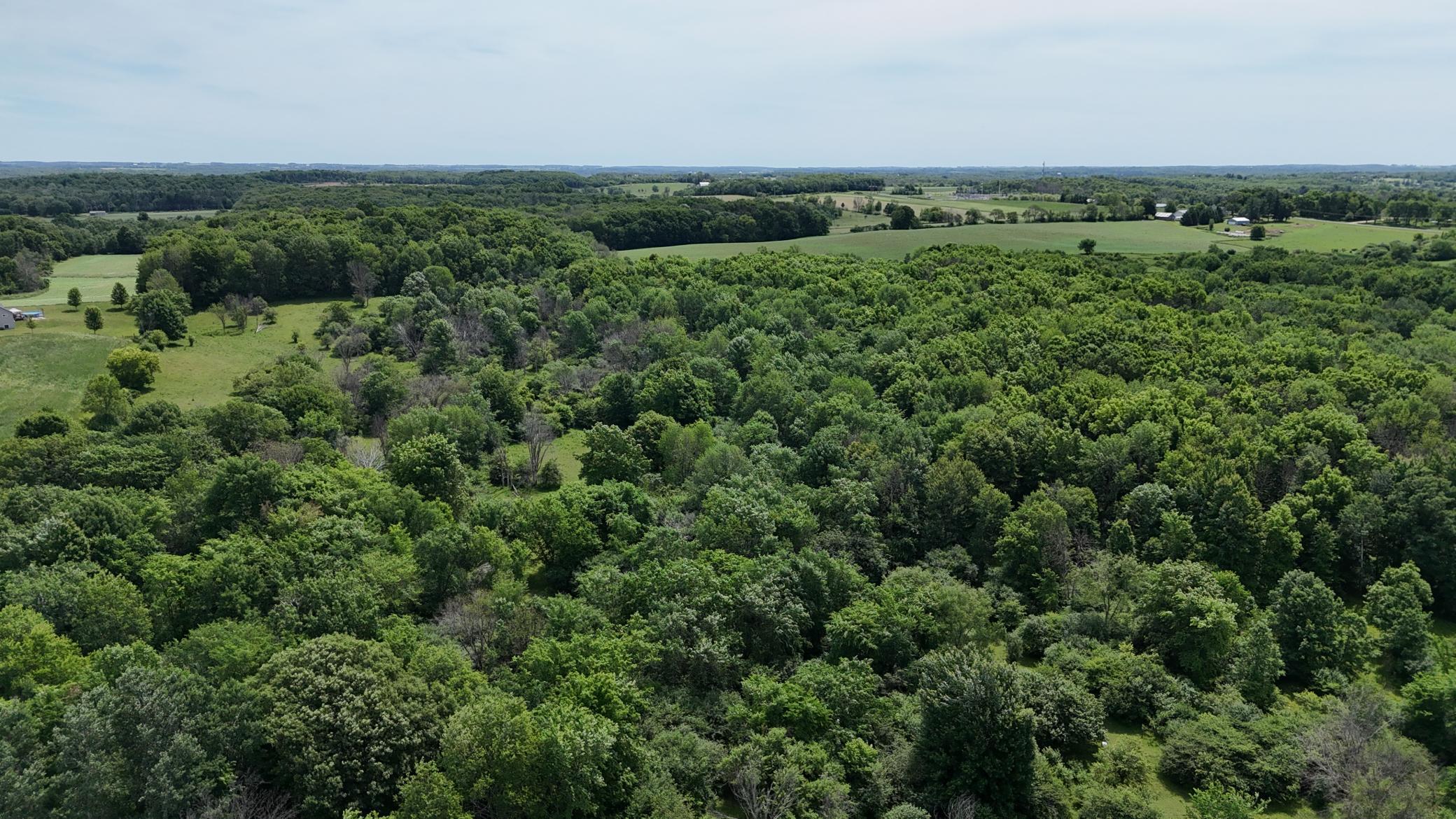 DJI_20260615120738_0493_D.JPG