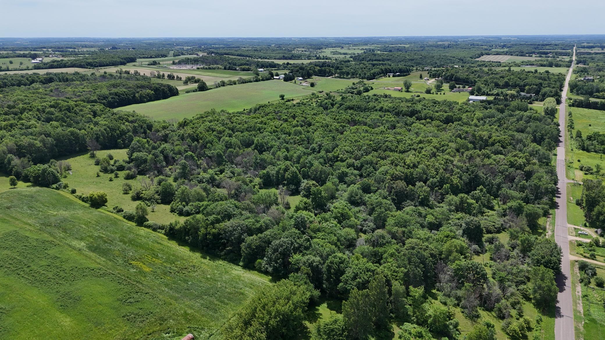 DJI_20260615115711_0468_D.JPG
