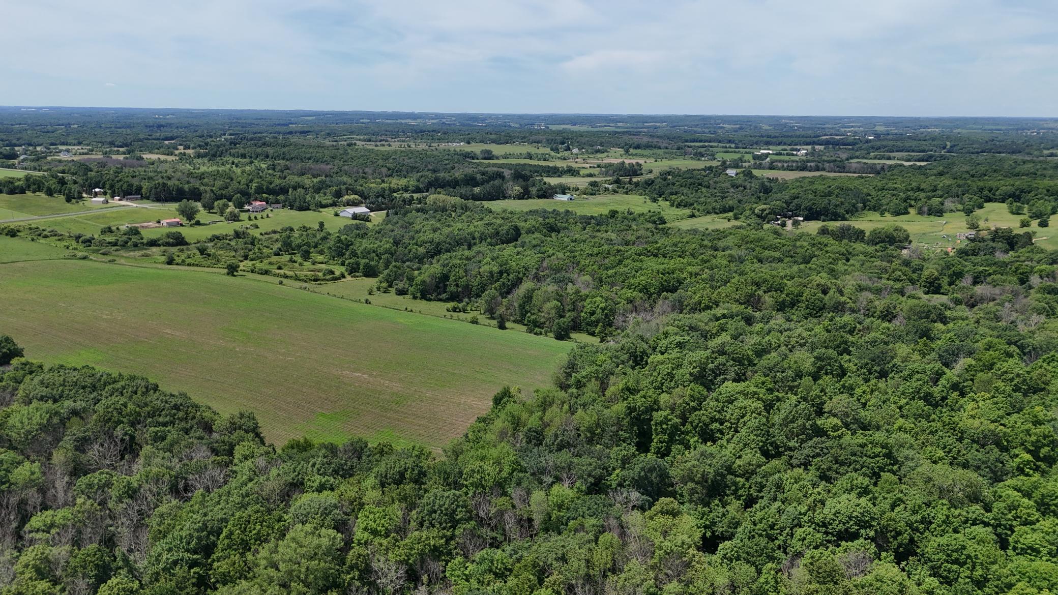 DJI_20260615120004_0474_D.JPG