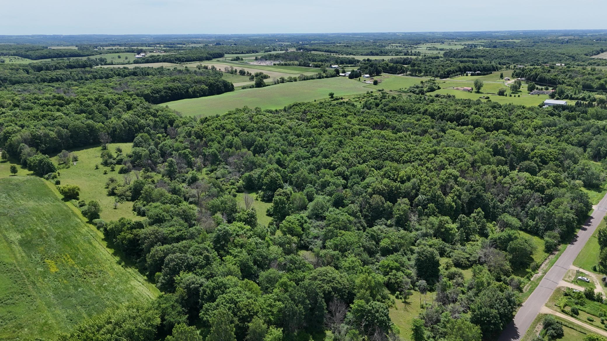DJI_20260615115648_0466_D.JPG