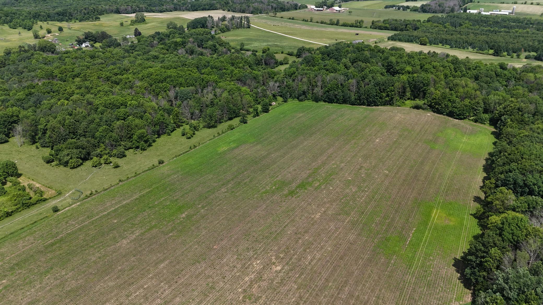 DJI_20260615120240_0478_D.JPG