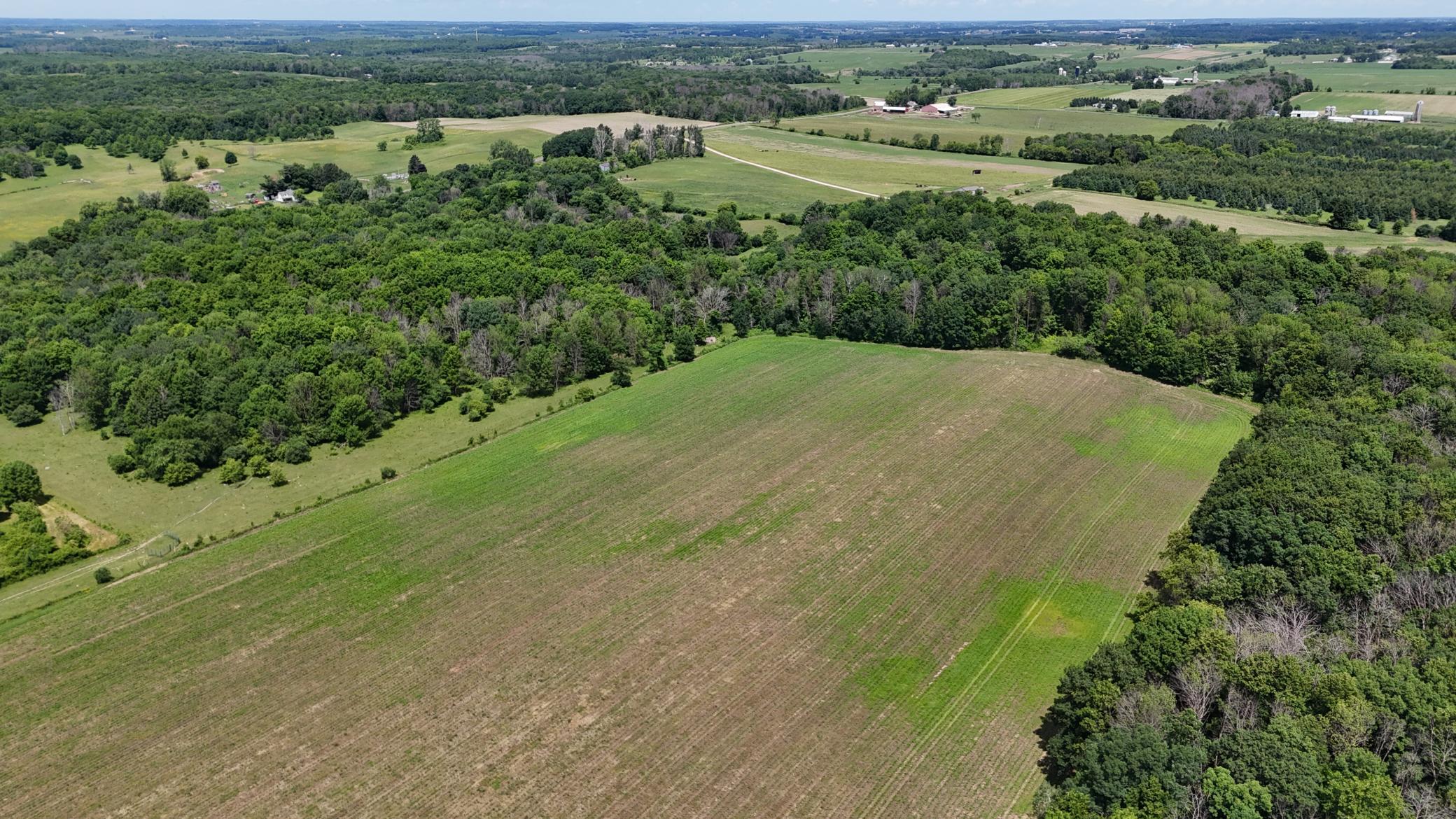 DJI_20260615120127_0477_D.JPG