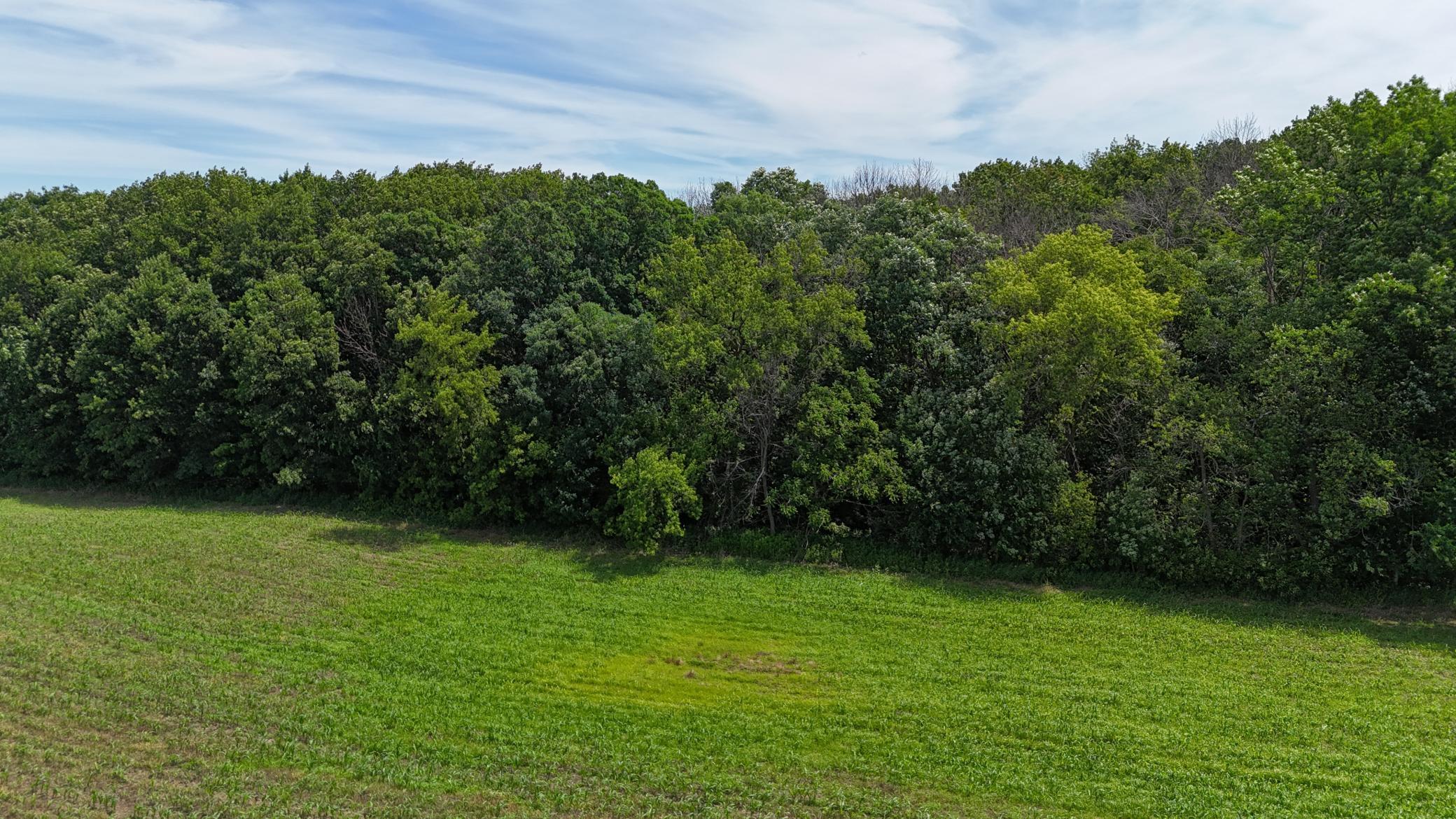 DJI_20260615121248_0506_D.JPG