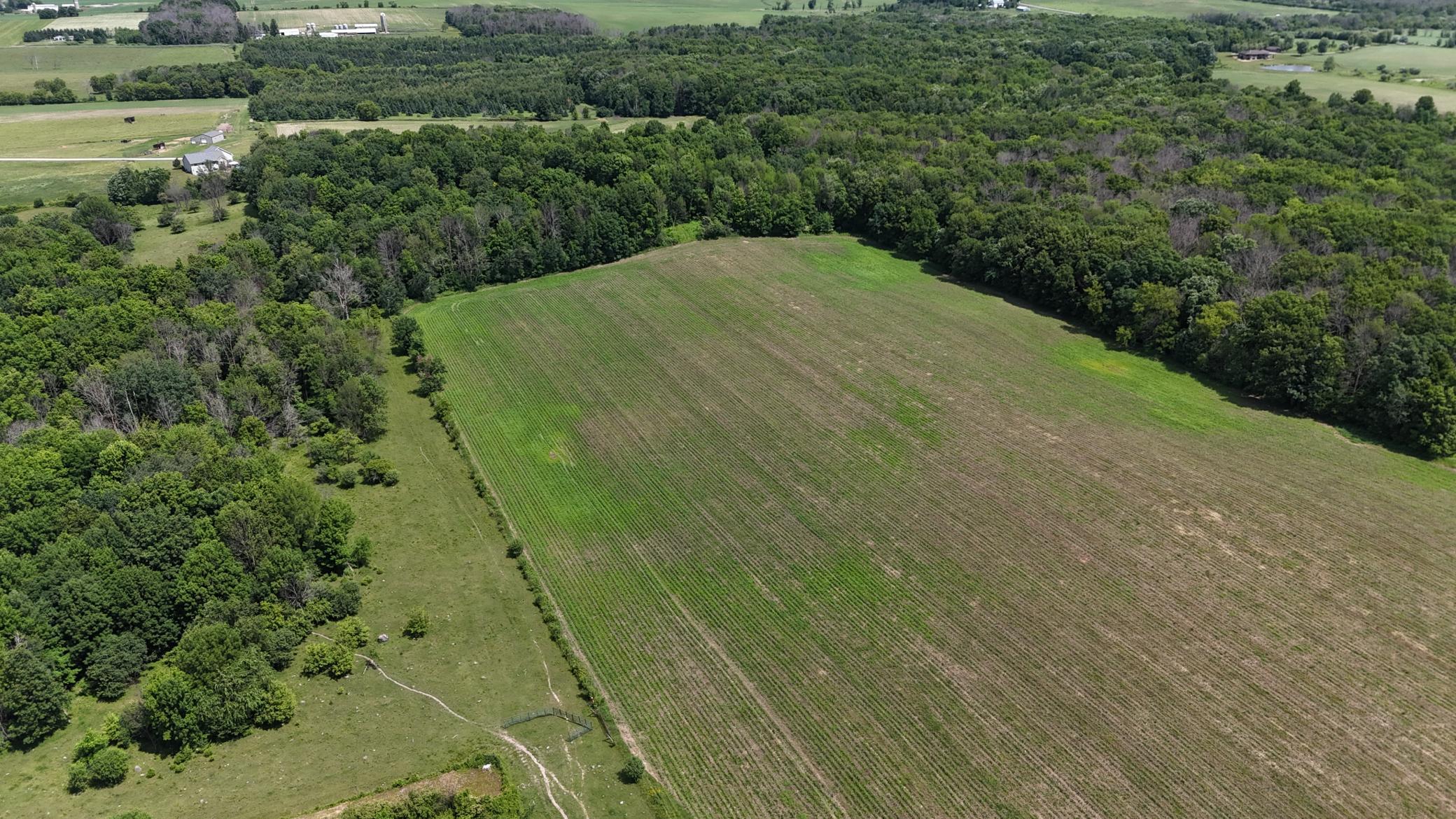 DJI_20260615120329_0481_D.JPG