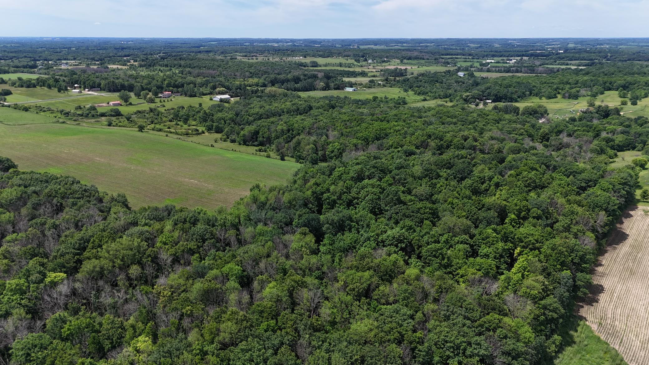 DJI_20260615115931_0473_D.JPG