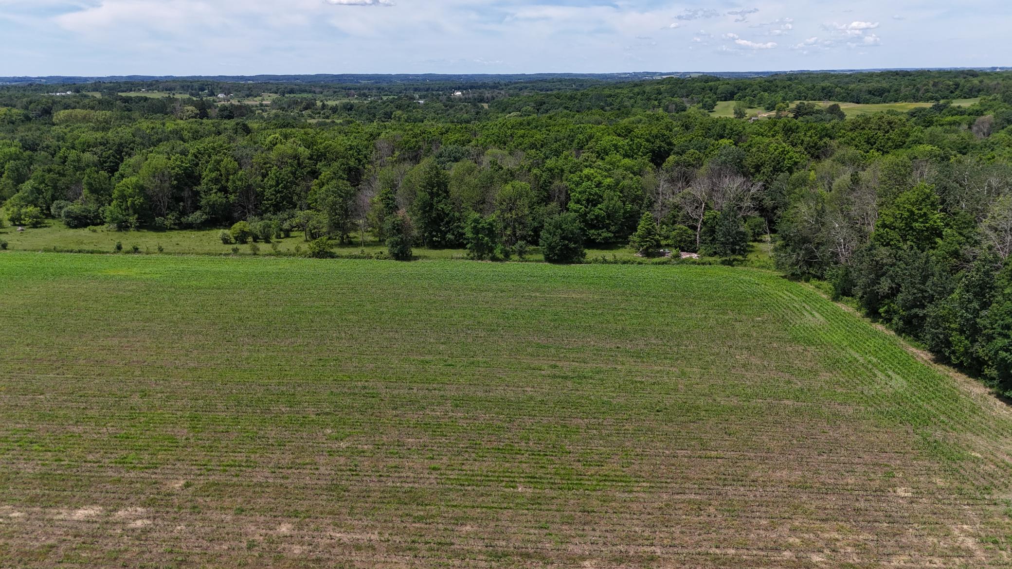 DJI_20260615121132_0503_D.JPG