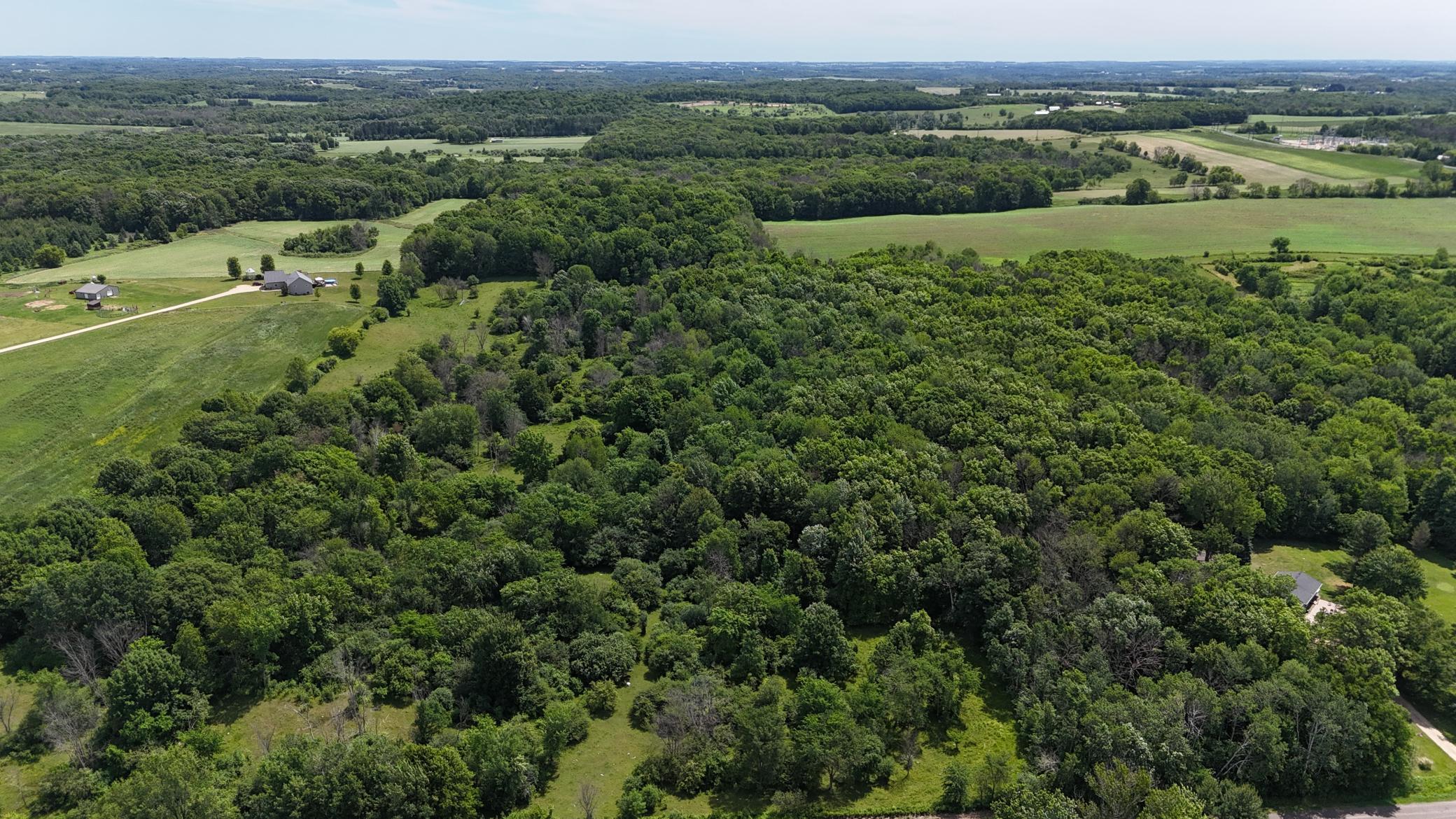 DJI_20260615115502_0464_D.JPG