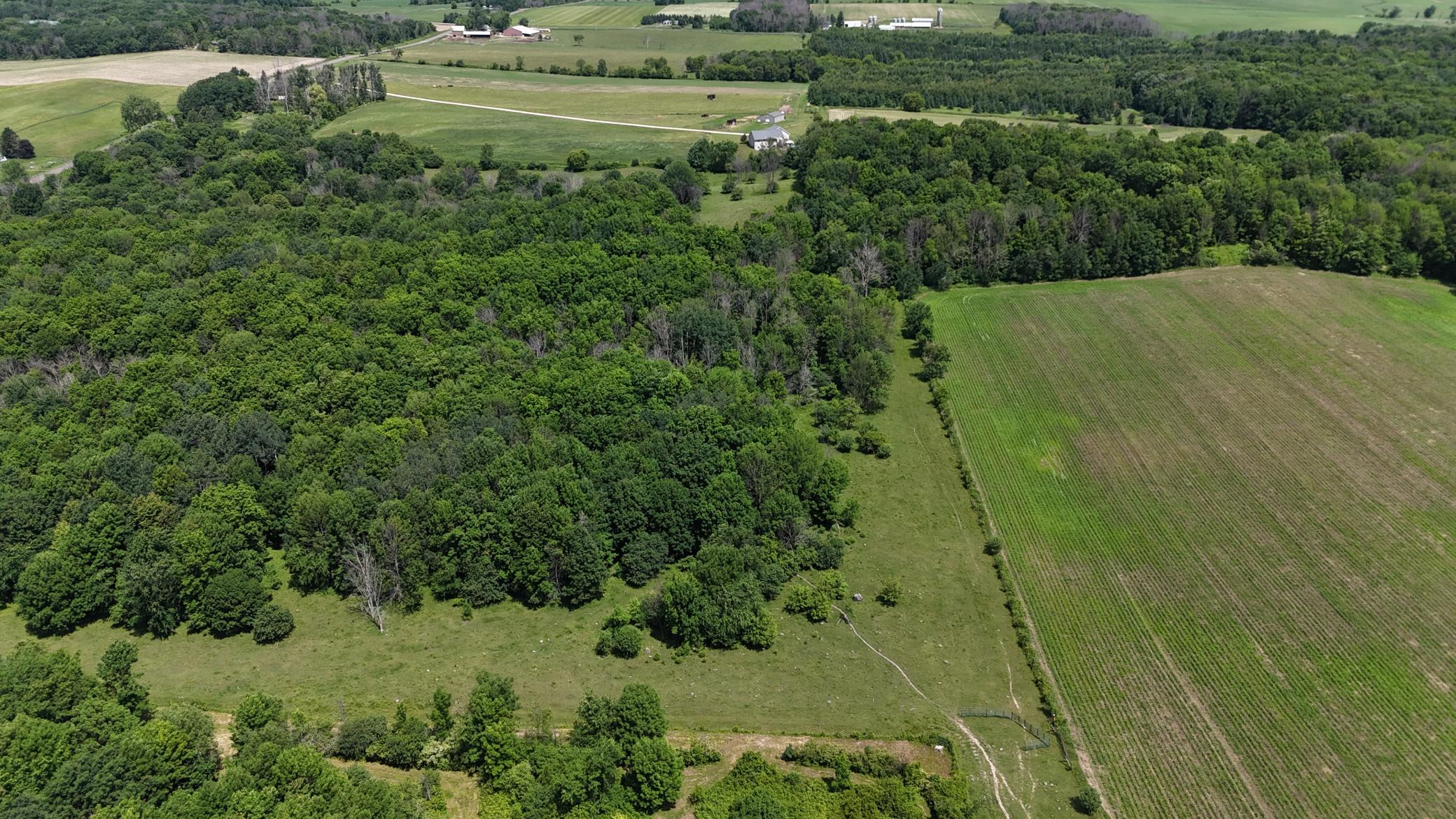 DJI_20260615120323_0480_D.JPG