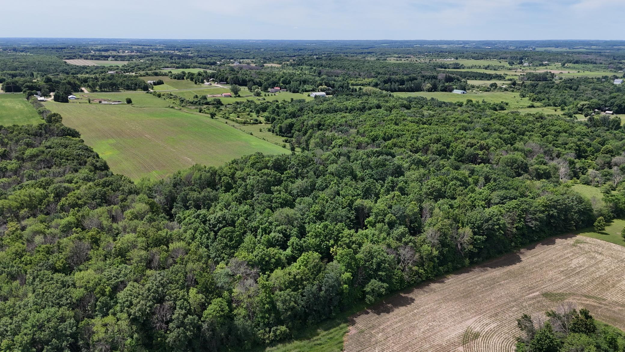 DJI_20260615115905_0472_D.JPG