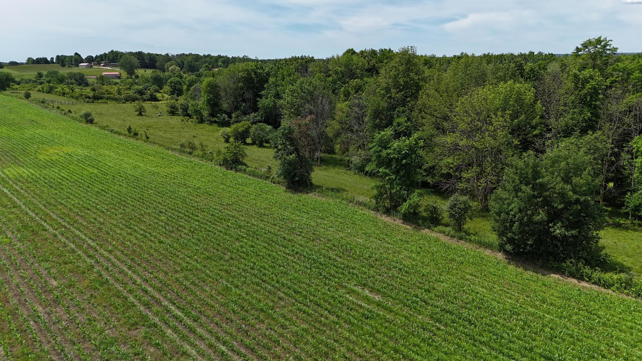 DJI_20260615121031_0501_D.JPG