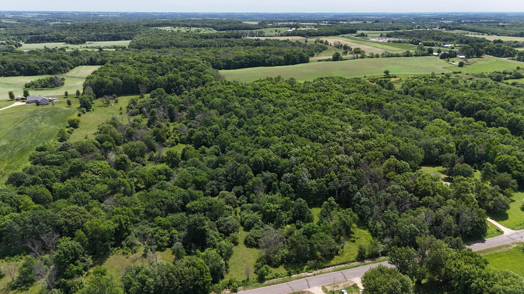 DJI_20260615115449_0463_D.JPG