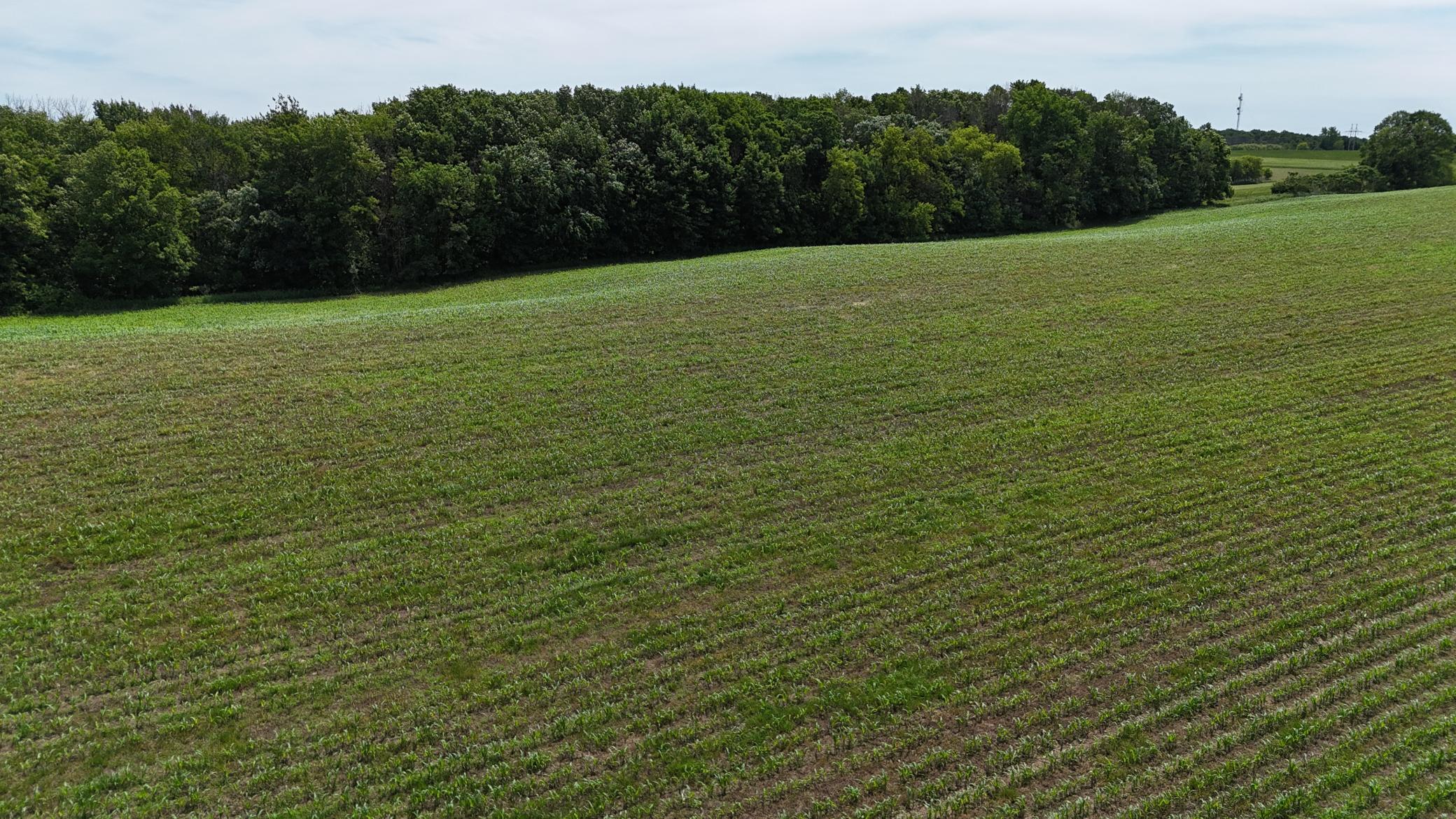 DJI_20260615121025_0500_D.JPG
