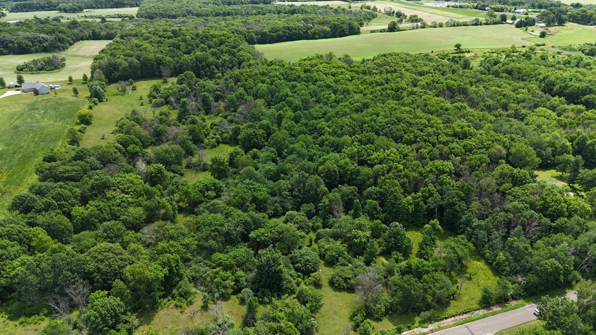 DJI_20260615120622_0490_D.JPG