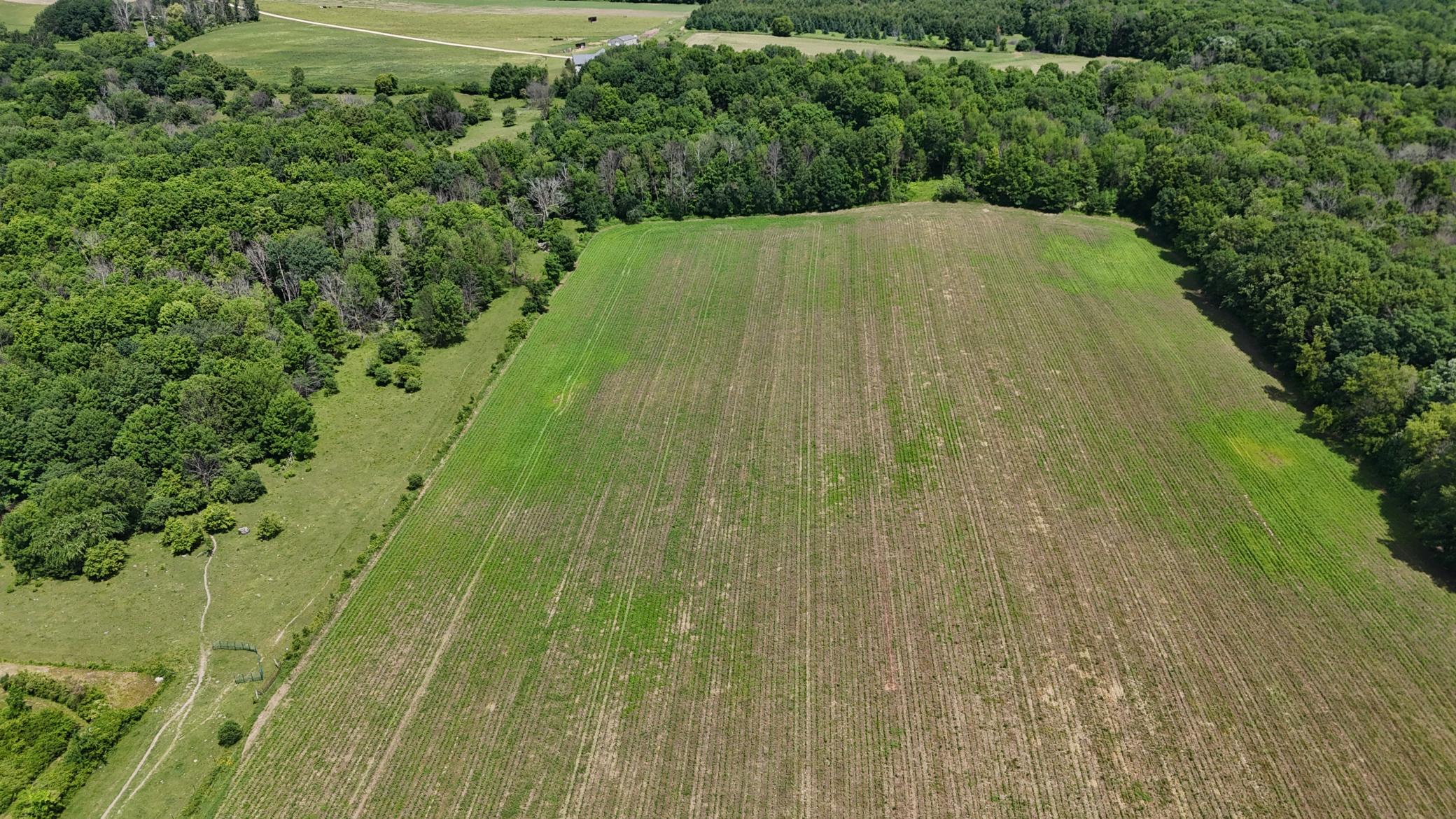 DJI_20260615120300_0479_D.JPG