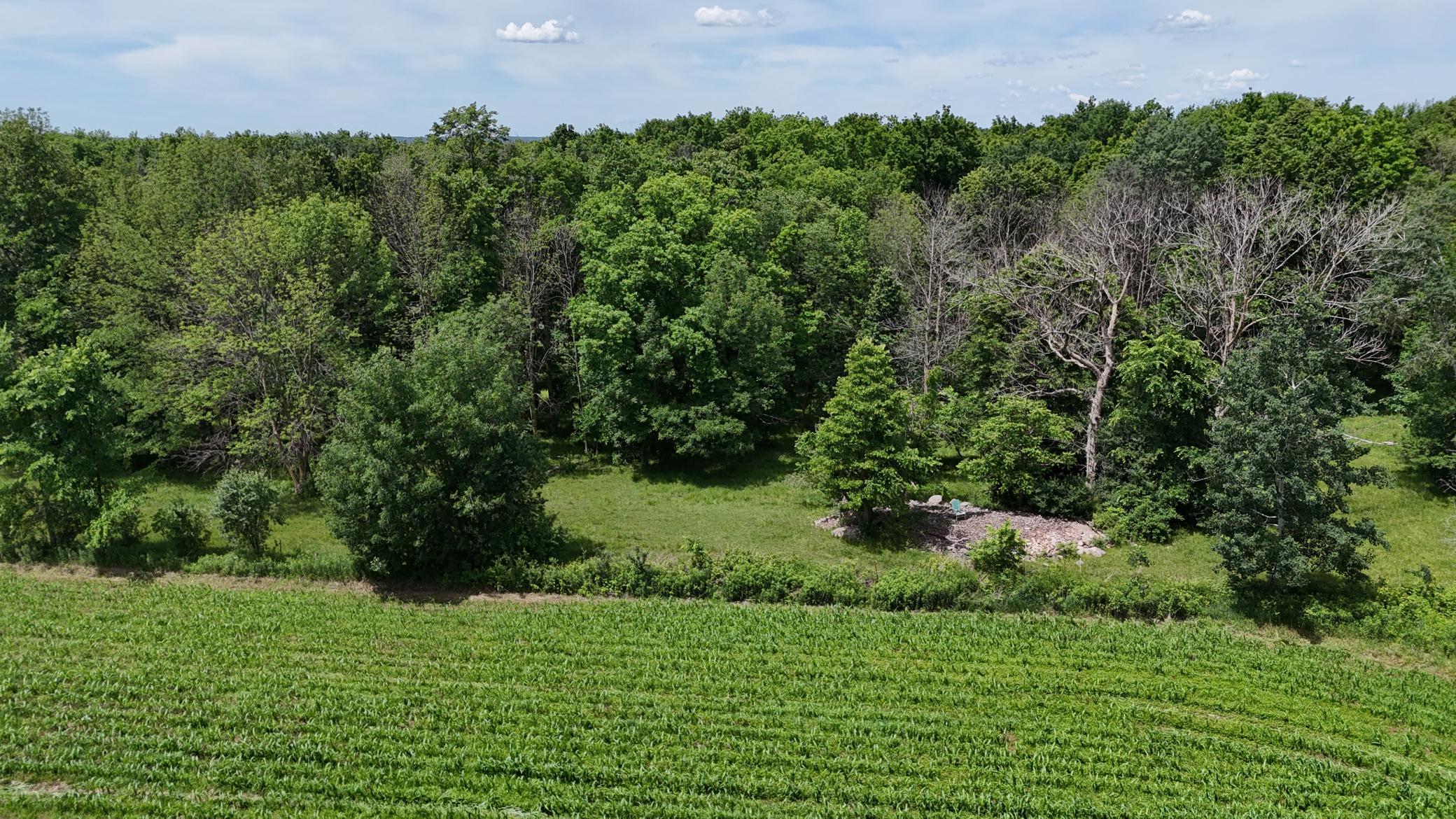 DJI_20260615121036_0502_D.JPG