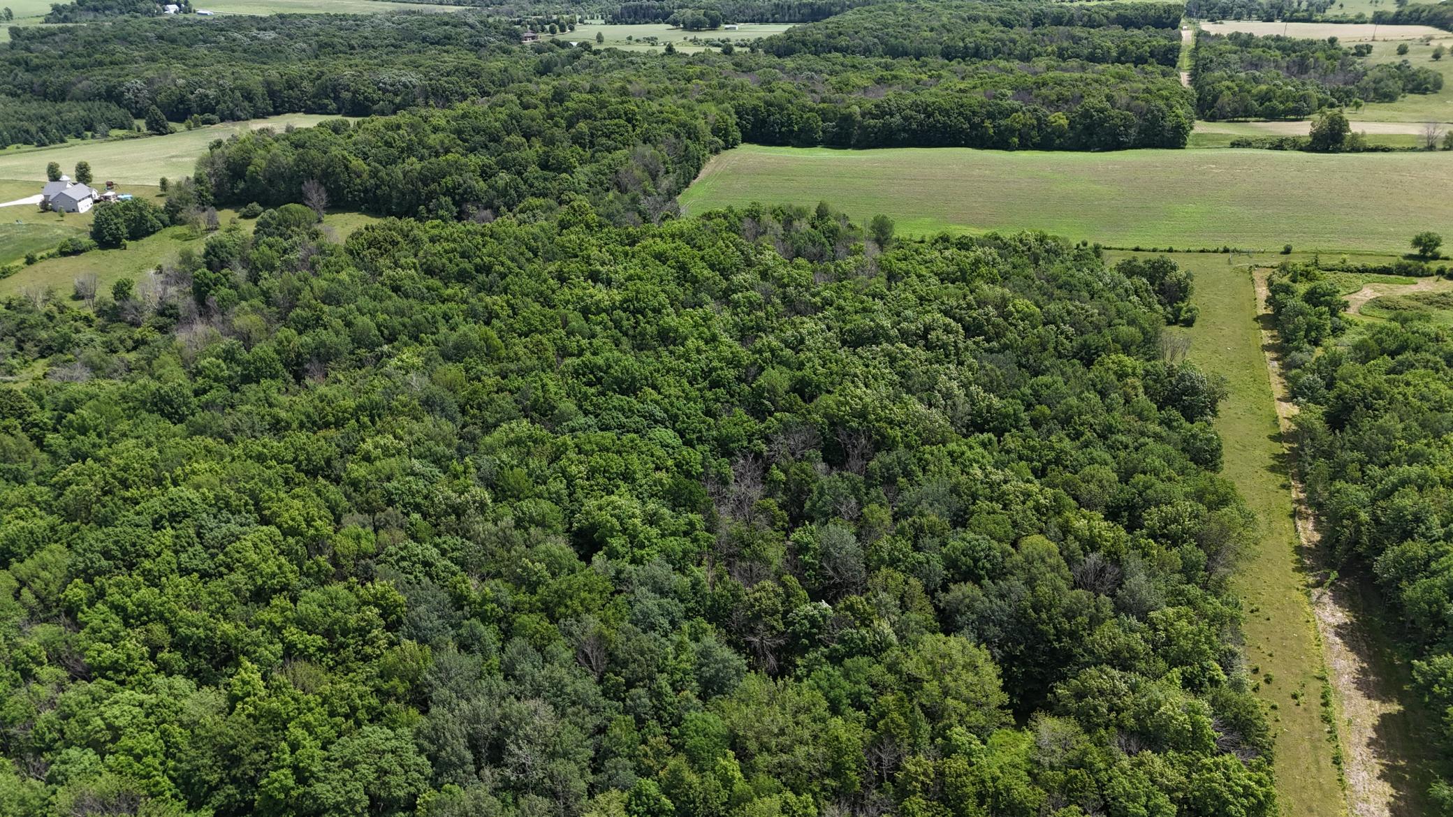 DJI_20260615120536_0489_D.JPG